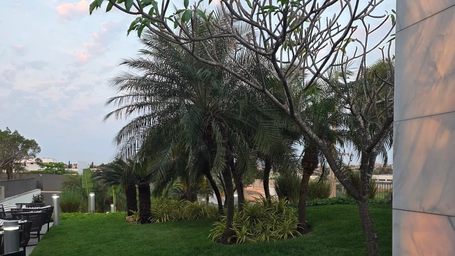 Jardim da esplanada com palmeiras ao entardecer