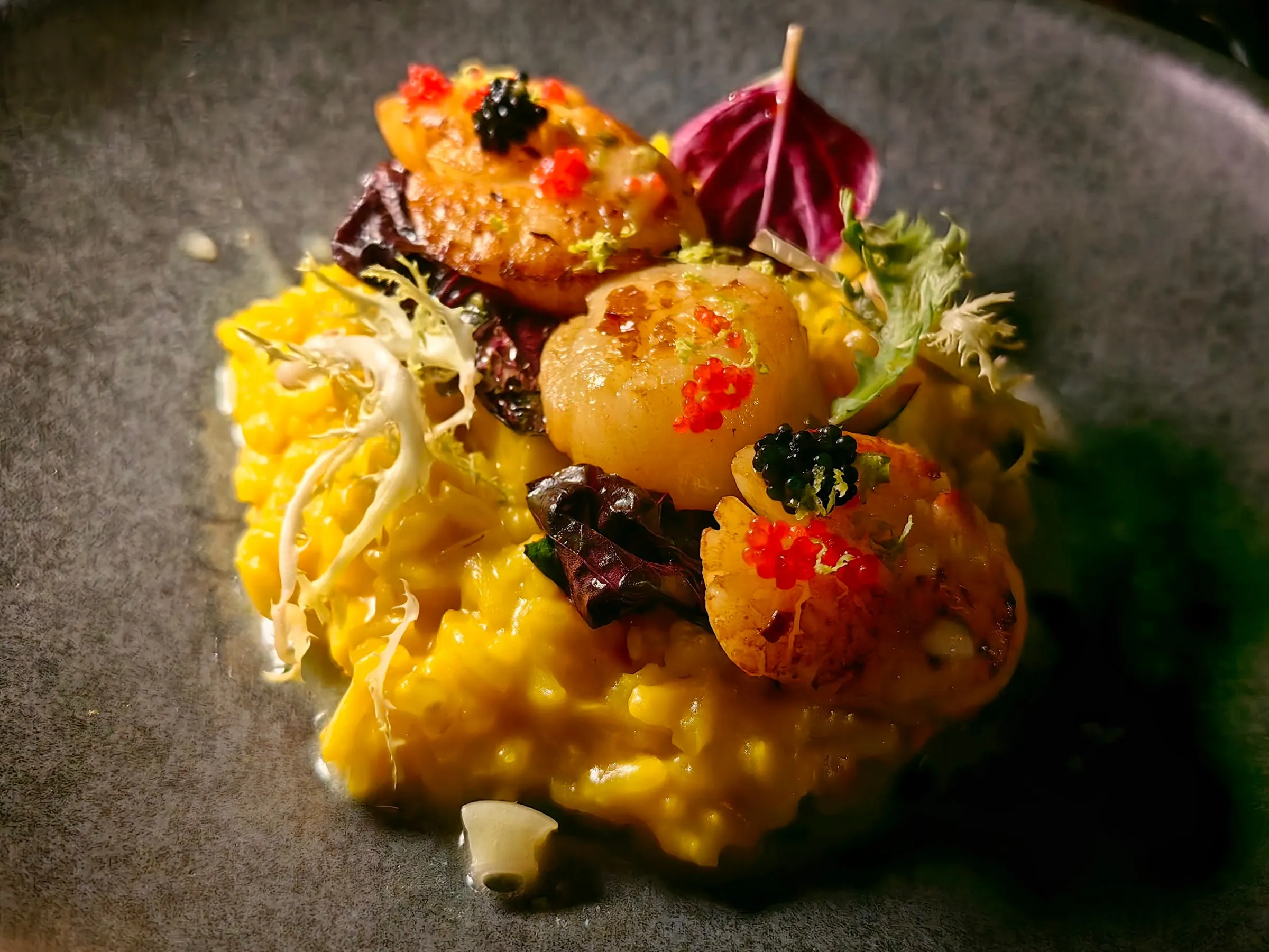 Vieiras seladas com ovas sobre risotto de açafrão
